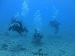 Hawaii Scuba divng 20