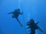 Hawaii Scuba divng 21