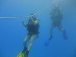 Hawaii Scuba divng 28