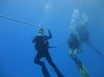 Hawaii Scuba divng 29