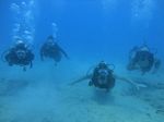 Hawaii Scuba divng 33