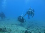 Hawaii Scuba divng 35