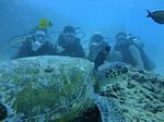 Hawaii Scuba divng 48