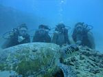 Hawaii Scuba divng 49