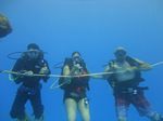 Hawaii Scuba divng 04