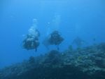 Hawaii Scuba divng 51