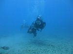 Hawaii Scuba divng 52