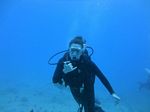 Hawaii Scuba divng 56