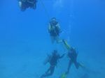 Hawaii Scuba divng 57