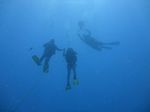 Hawaii Scuba divng 05