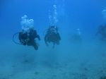 Hawaii Scuba divng 08