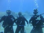 Hawaii Scuba divng 10