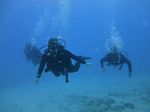 Hawaii Scuba divng 11