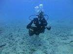 Hawaii Scuba divng 12