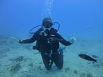 Hawaii Scuba divng 14