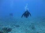 Hawaii Scuba divng 19