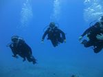 Hawaii Scuba divng 21