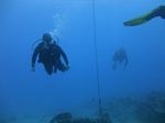 Hawaii Scuba divng 24