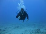 Hawaii Scuba divng 26