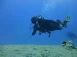 Hawaii Scuba divng 27