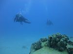 Hawaii Scuba divng 28