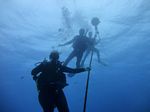 Hawaii Scuba divng 06