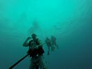 Hawaii Scuba divng 13