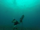 Hawaii Scuba divng 15