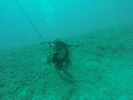 Hawaii Scuba divng 20