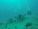 Hawaii Scuba divng 29