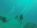 Hawaii Scuba divng 39