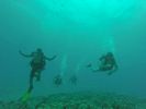 Hawaii Scuba divng 41