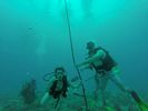 Hawaii Scuba divng 44