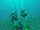 Hawaii Scuba divng 45