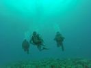 Hawaii Scuba divng 52