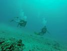 Hawaii Scuba divng 54