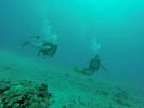 Hawaii Scuba divng 54