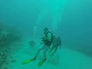 Hawaii Scuba divng 60