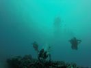 Hawaii Scuba divng 57