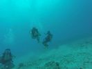 Hawaii Scuba divng 59