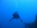 Hawaii Scuba divng 12