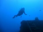 Hawaii Scuba divng 13