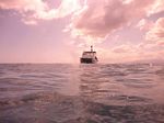 Hawaii Scuba divng 31