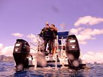 Hawaii Scuba divng 32