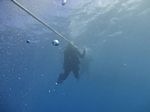 Hawaii Scuba divng 35