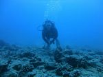 Hawaii Scuba divng 37