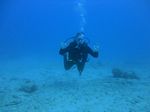 Hawaii Scuba divng 48