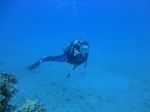 Hawaii Scuba divng 53