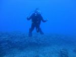 Hawaii Scuba divng 56