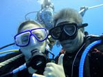 Hawaii Scuba divng 61